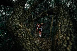 BIB: 
                            <button type="button" onclick="openModal(25690519)" class="btn btn-primary btn-sm float-right btn-popup" data-toggle="modal" data-target=".modal-high-quality">
                        <i class="fas fa-shopping-cart"></i> Add to Cart
                    </button>
                                            <button type="button" onclick="isThisMe(25690519, true)" class="btn btn-success btn-sm float-right btn-popup btn-isme hidden" data-toggle="tooltip" data-placement="bottom" title="นี่คือรูปของคุณใช่ไหม คลิกที่นี่เพื่อเอาเข้าอัลบั้ม">
                        <i class="fas fa-plus"></i> Add to album
                    </button>
                    <button type="button" onclick="isThisMe(25690519, false)" class="btn btn-warning btn-sm float-right btn-popup btn-isnotme hidden">
                        <i class="fas fa-ban"></i> Remove from album
                    </button>